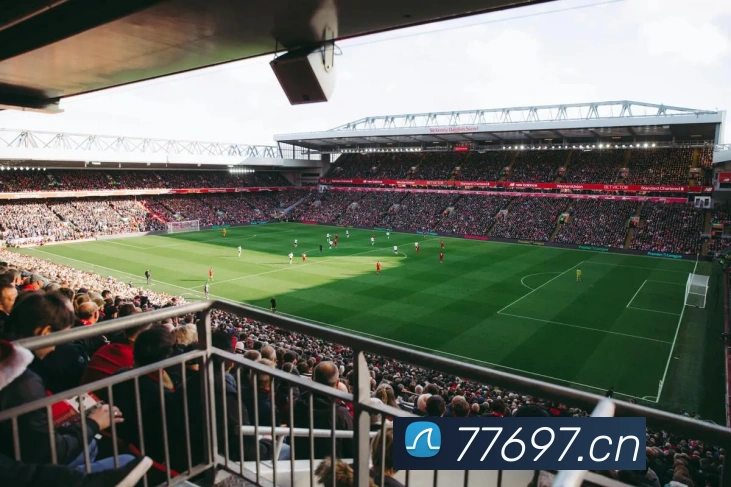 App Interface Preview